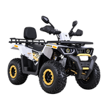 Cuatrimoto Tao Motor Braves 150