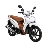 Moto Ronco RC 256JET
