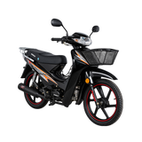 Moto Ronco RC 110B